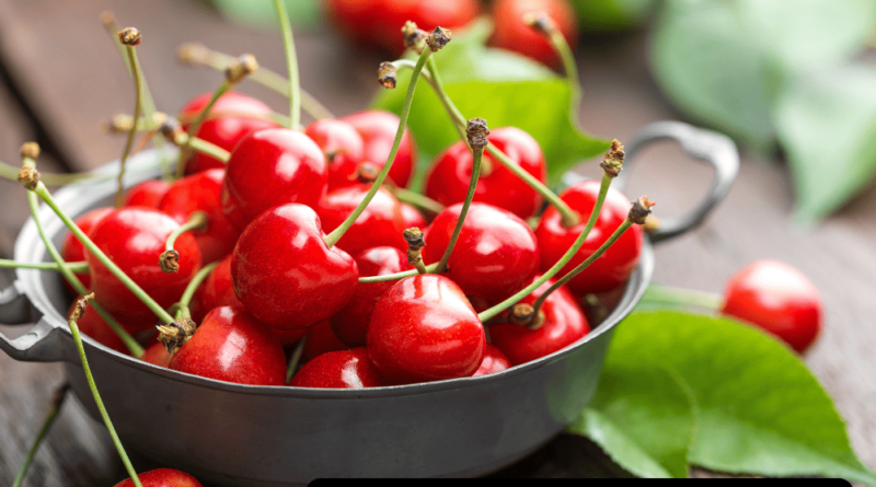 Brouwer Fruit - Kersen Verkoop