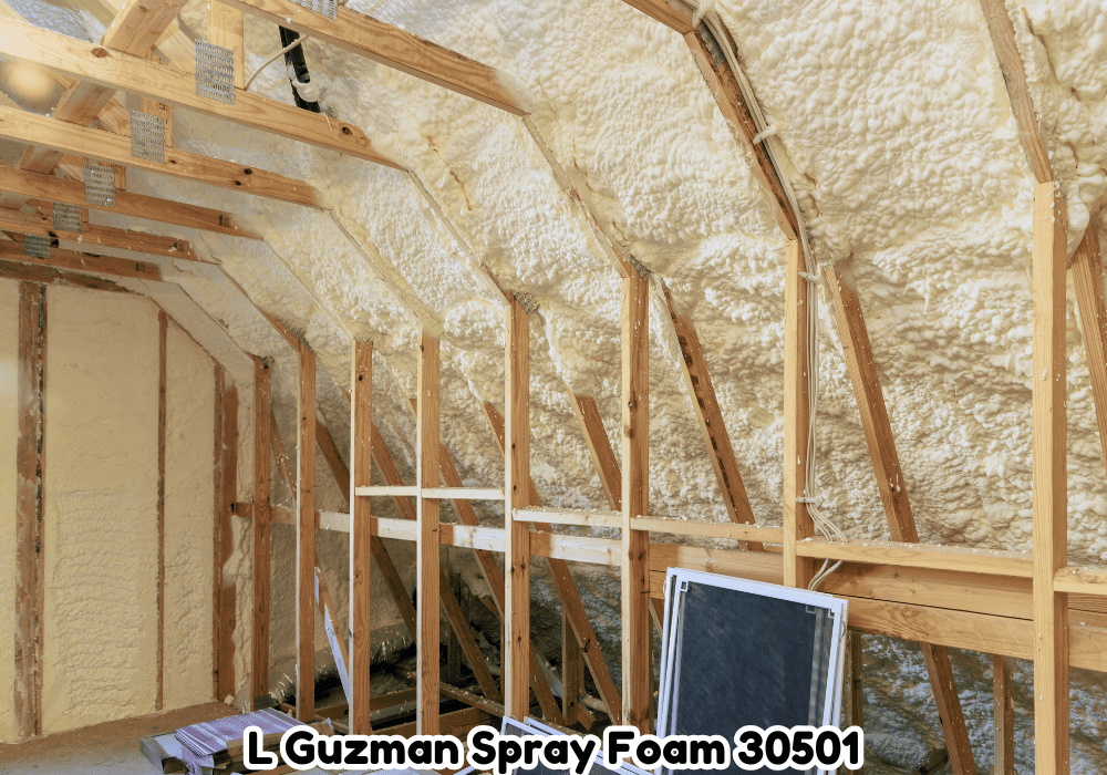 lguzman spray foam gainesville ga