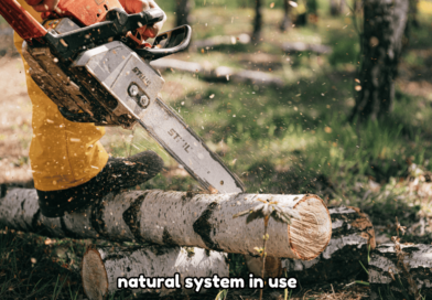 Natural Systems in Use